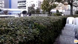 sqymm.cn的综合查询_20p亚洲极品影院_爱站网